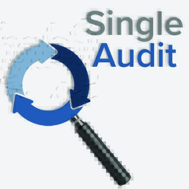 Ace Your Single Audit: Best Practices for Stress-Free Preparation